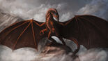 Dragon, European