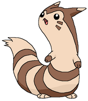 Furret pokemonshineandshade