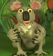 Koala