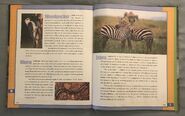 Scholastic Encyclopedia Of Animals (59)