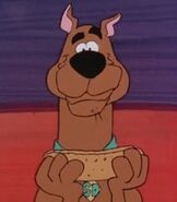 Scooby Doo in The Scooby Doo Show