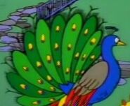 Simpsons Peacock