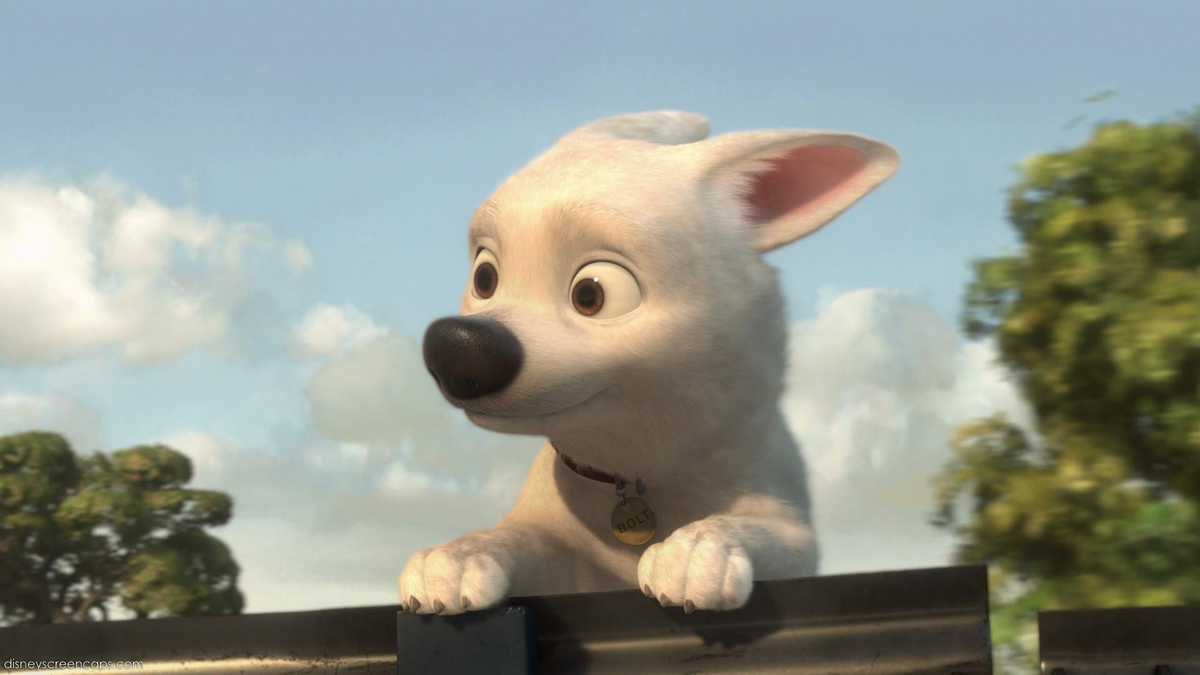 The Secret Life Of Animal Pets The Parody Wiki Fandom The Secret Life Of Animal Pets The Parody Wiki Fandom