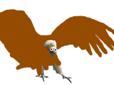 Gypus the Brown Vulture