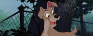 Lady-tramp-disneyscreencaps.com-4894