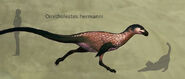 Ornitholestes hermanni