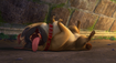 Precious (The Nut Job) Sleeping