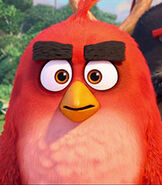 Red-the-angry-birds-movie-2-8.35