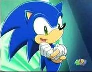 Sonic the Hedgehog (Sonic X) as Ray-Ray