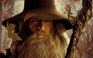 Gandalf as Wizard in the Leaky Cauldron