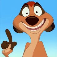 Timon as sir