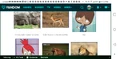 African Animals, Inc.png (1.2 MB)