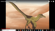 Animal Atlas Velociraptor