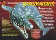Basilosaurus front