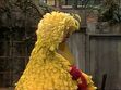 Episode 2224- Wanting to dream, Elmo hops into Big Bird's arms, falling asleep instantly