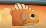Prowfish