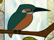 SoK Kingfisher