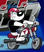 Dudley Puppy as Akela