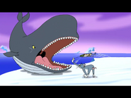Tom and Jerry: The Fast and the Furry