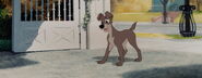 Lady-tramp-disneyscreencaps.com-2497