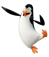 Pom-kowalski02