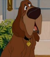 Trusty as Plato