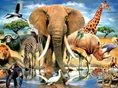 African elephant zebra hippopotamus lion rhinoceros crocodile.jpg (122 KB)