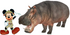 Common Hippopotamus (Hippopotamus amphibius)/Nile Hippopotamus (Hippopotamus amphibius amphibius)