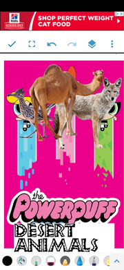 PPDesertAnimals2016 Poster.png