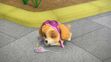 Paw patrol skye sleeping