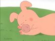Pig (Kipper) sleeping