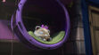 Pilou sleeping in Meatball the Sleepwalker