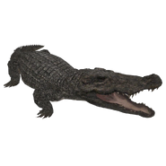 Zoo Tycoon Mugger Crocodile