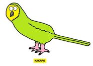 Emmett's ABC Book Kakapo