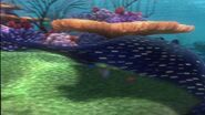 Finding-nemo-disneyscreencaps.com-1590