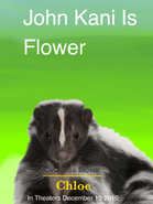 Flower Adult in 2019