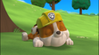 Rubble sleeping in Pups and the Beanstalk