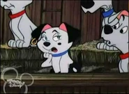 Undecidedtwotone.jpg (27 KB)