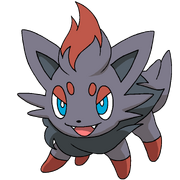 Zorua rosemaryhillspokemonadventures