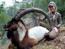 AnatolianBezorIbex-Turkey18.jpg