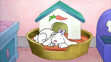 Daffodil sleeping in Finders Keepers