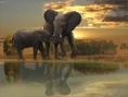 Elephants in the Bush.jpg (57 KB)