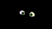 Lem's eyes in the dark