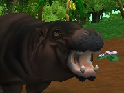 Pygmy-hippopotamus-zootycoon2018