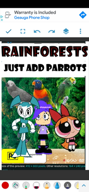 RNFRSTS-JAP Poster.png