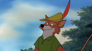 Robin Hood as Kevin