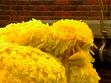 Big Bird falls asleep to Uncle Wally's story of him taking a nap at a party