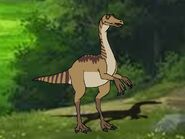 Gallimimus as Southern Ostrich