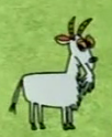 SitBC Goat