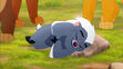 Bunga sleeping